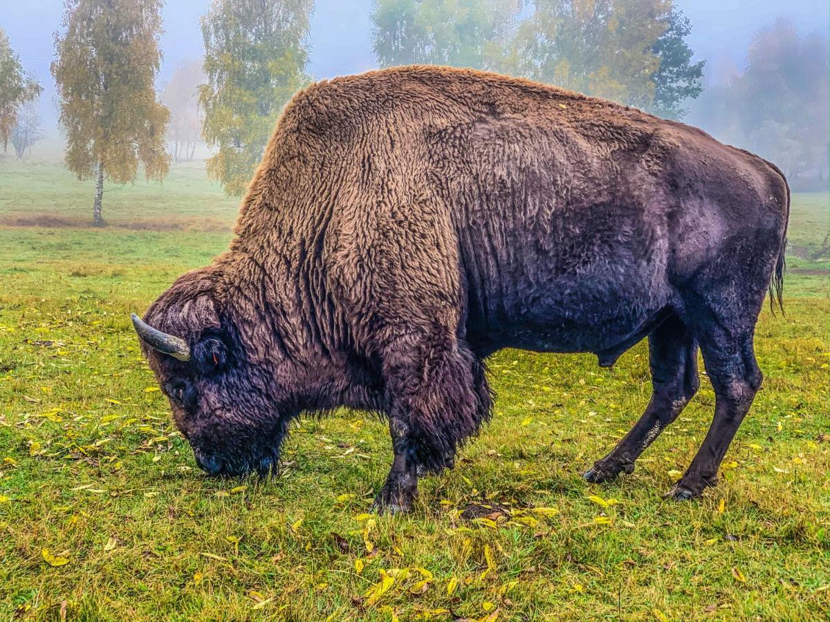 Podhradi Landstejn Villa Slavonice Bagian luar foto